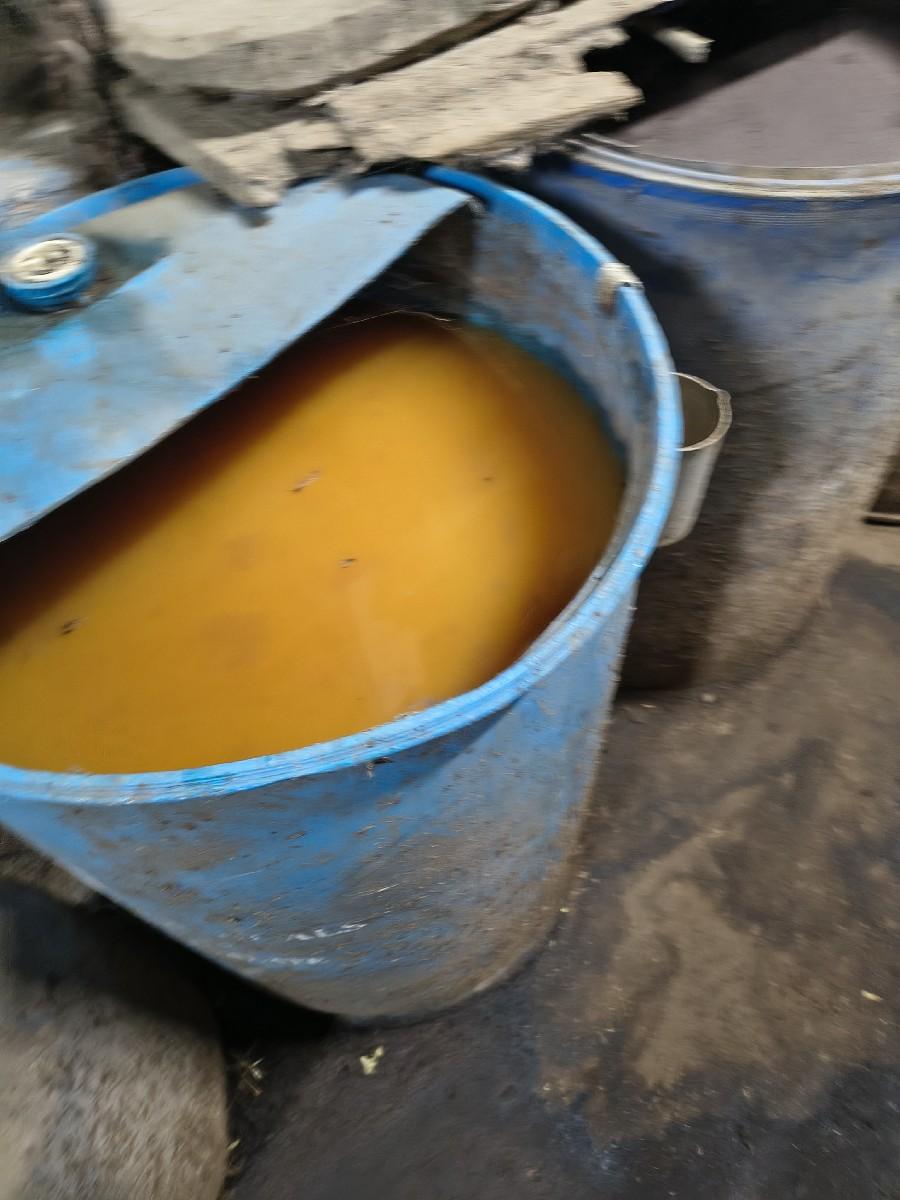 થંબનેલ 3