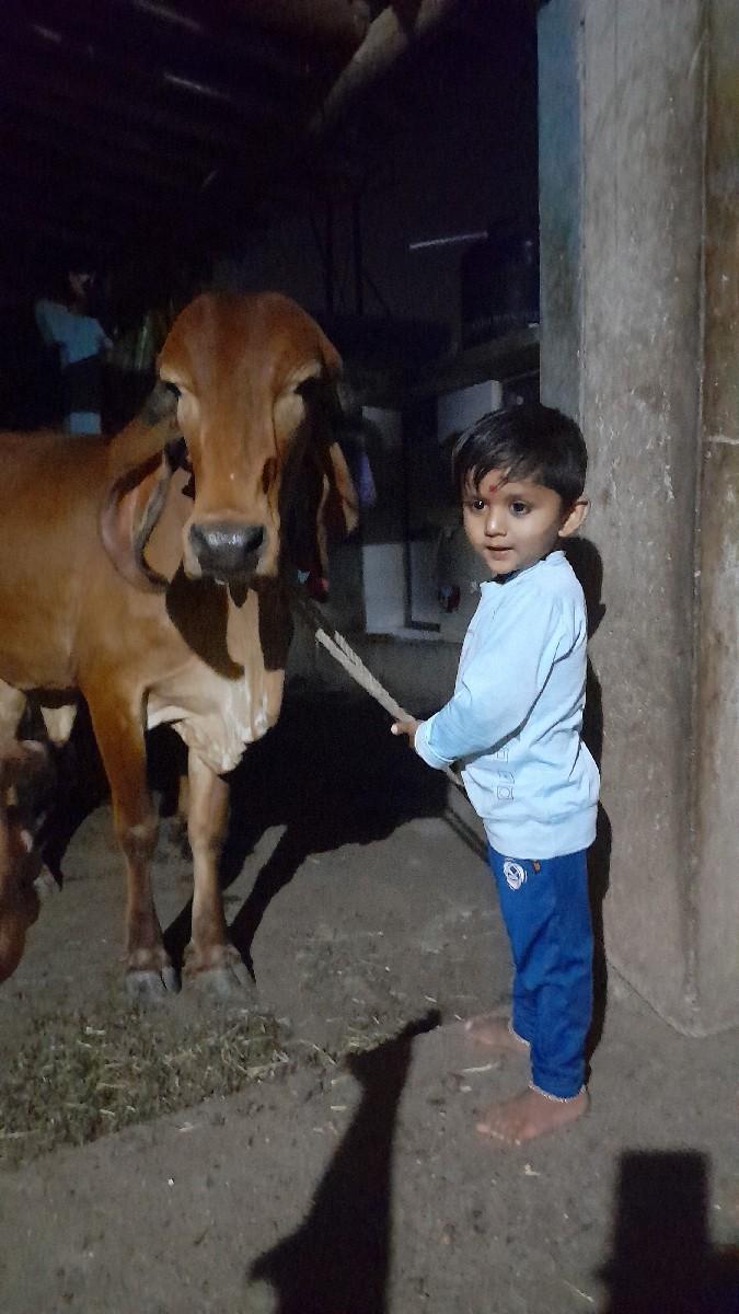 થંબનેલ 2