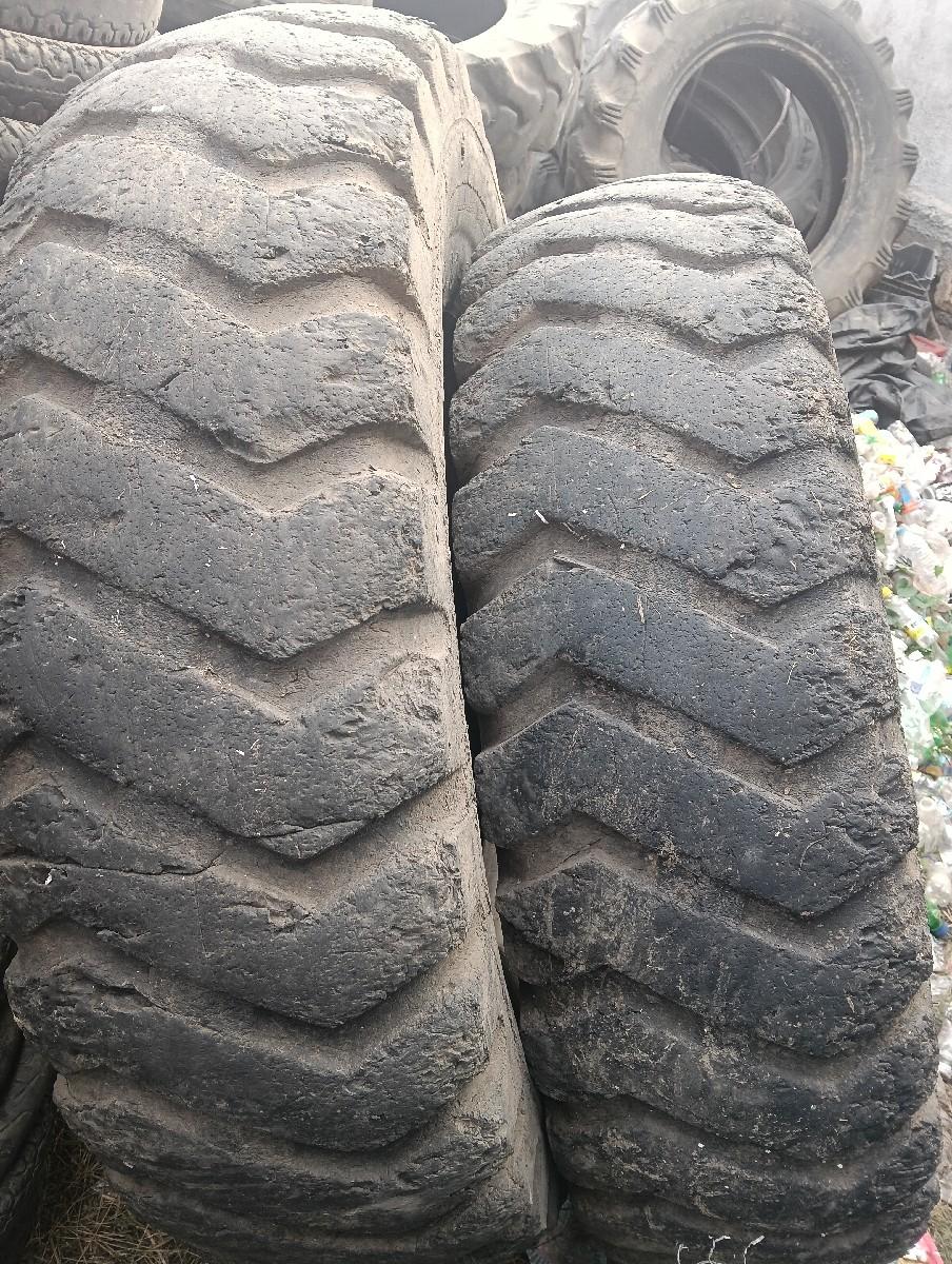 थंबनेल 3