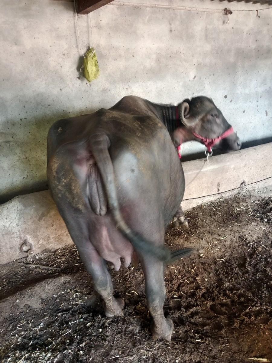 થંબનેલ 3