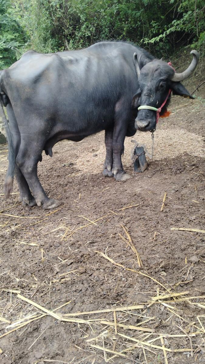 થંબનેલ 3