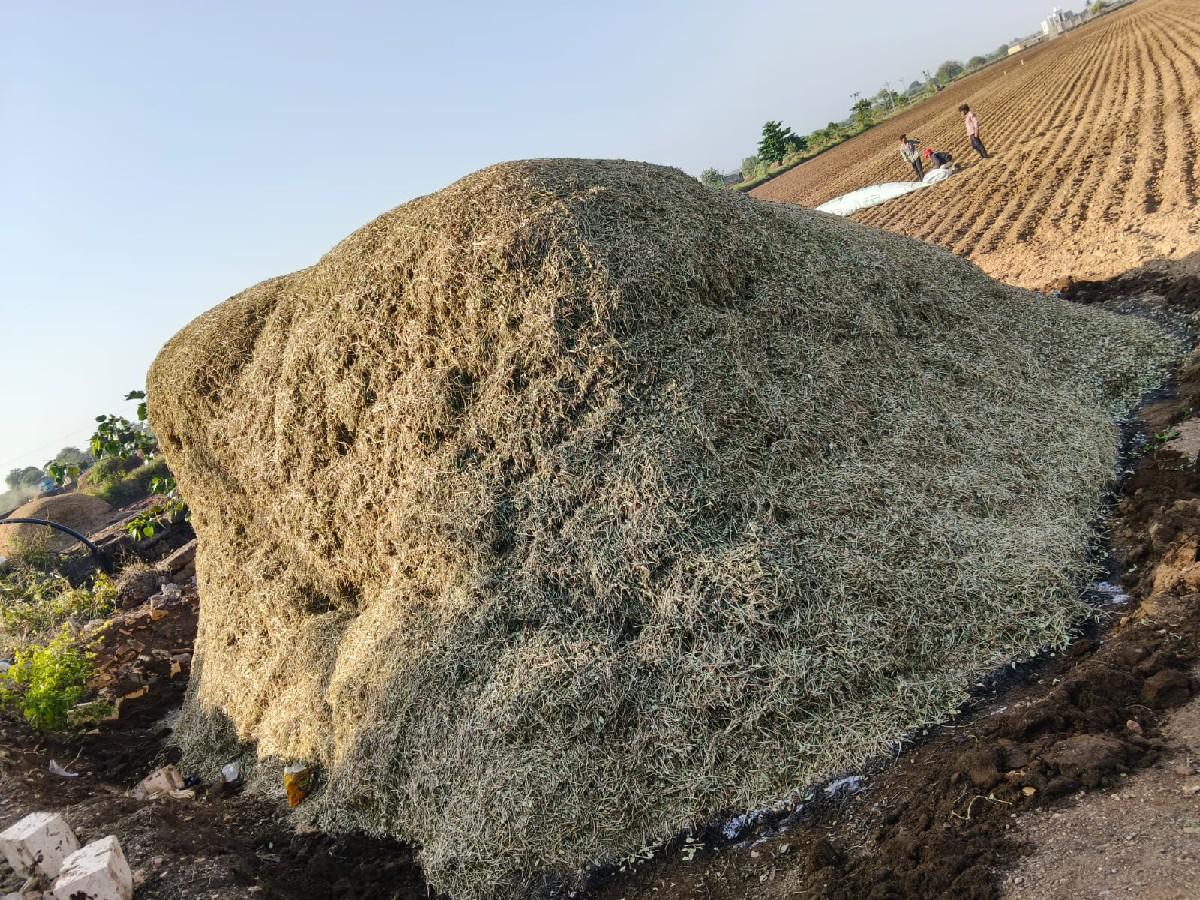 G-20  મગફળી નો ભુકો વેચવાનો છે.