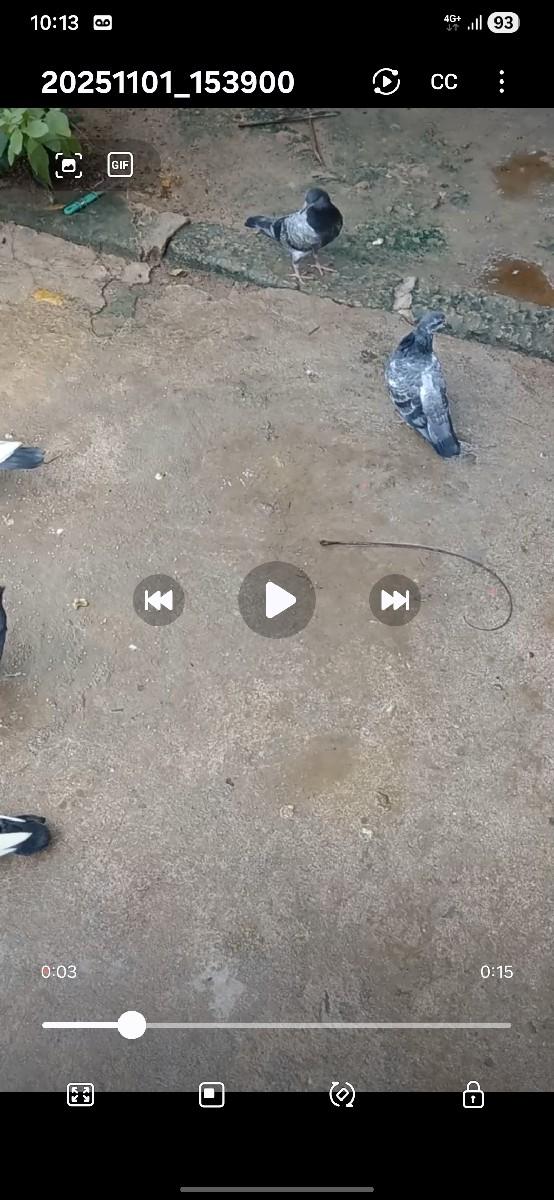 થંબનેલ 3