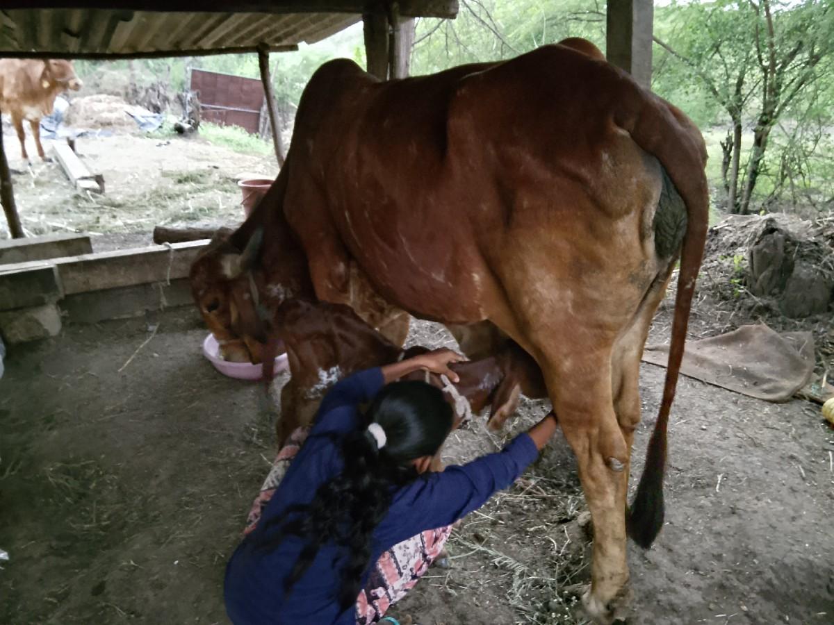 થંબનેલ 3