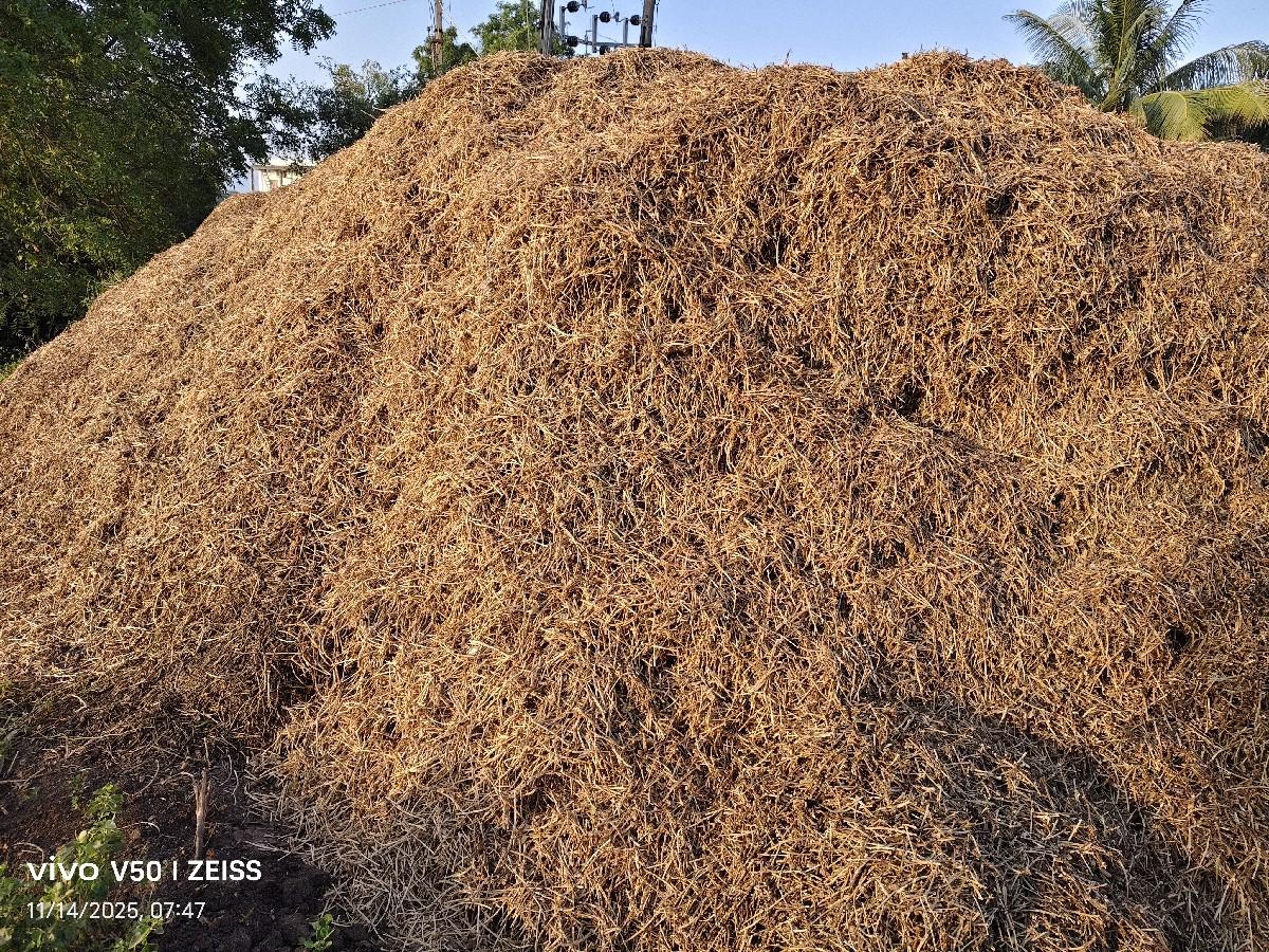 માંડવી ભૂકો વેંચવાનો છે