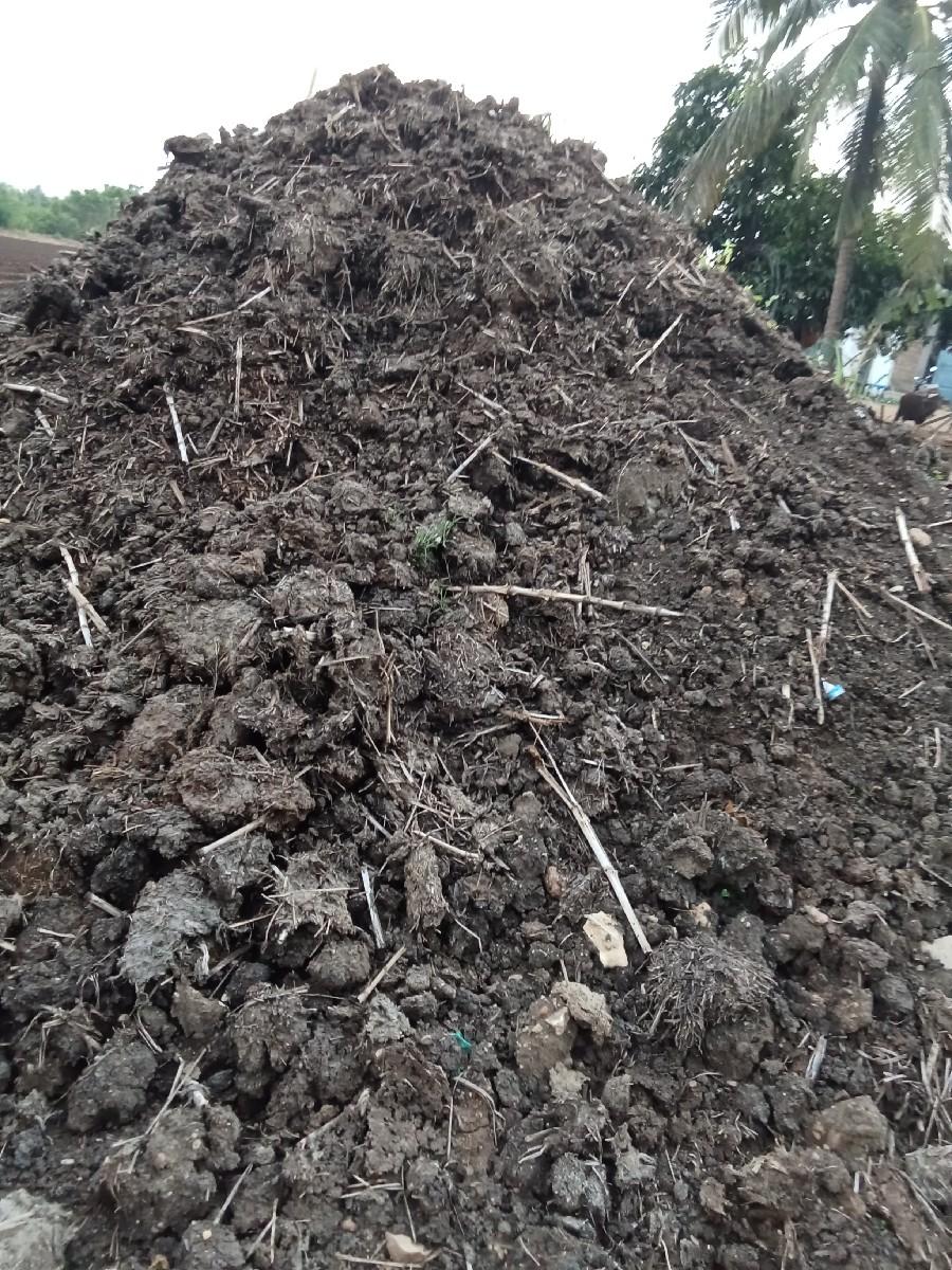 છાણીયું ખાતર