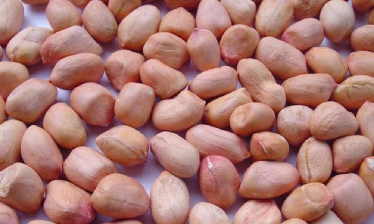 magfali biyaran vesva ni se