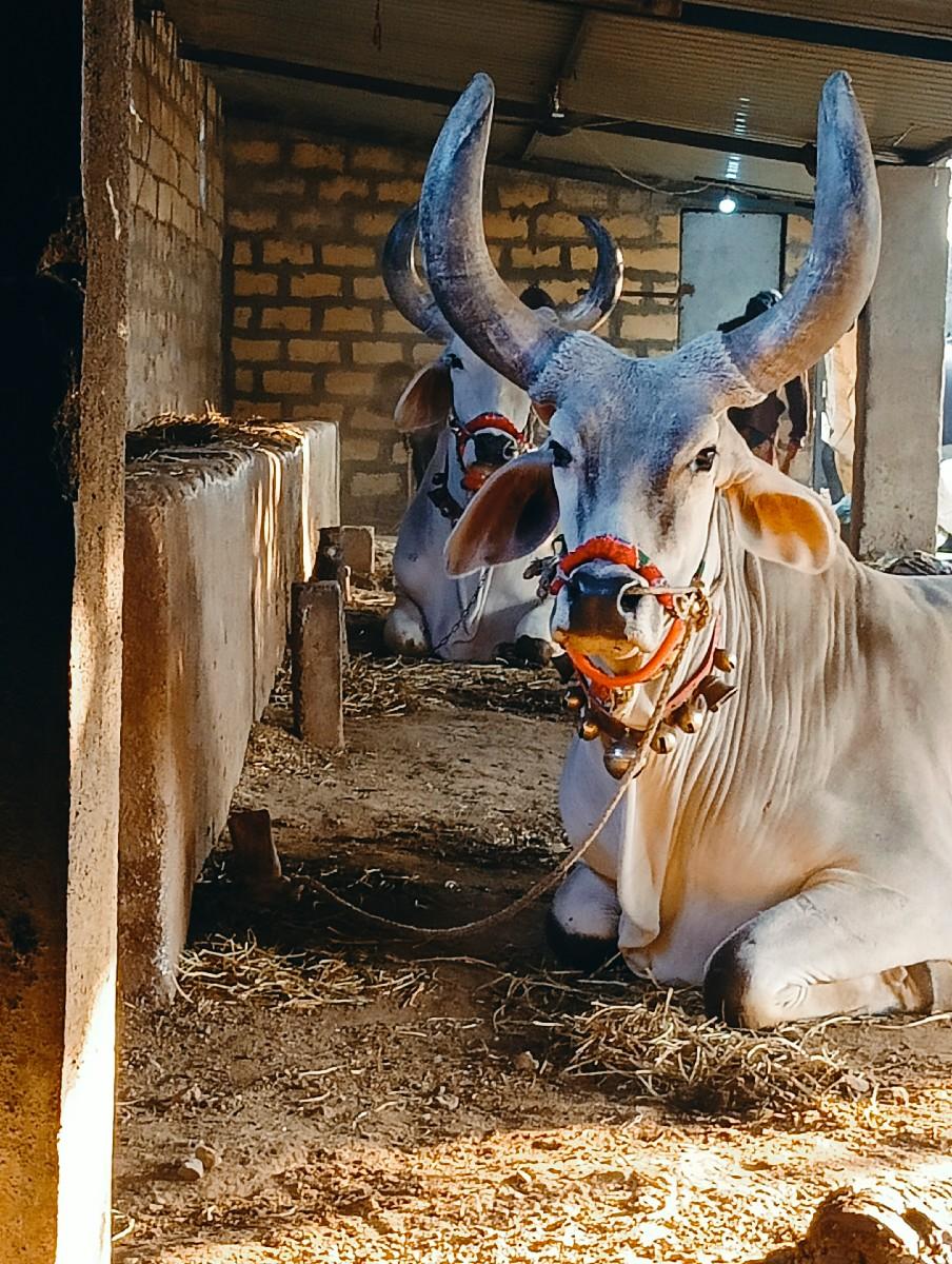 थंबनेल 2