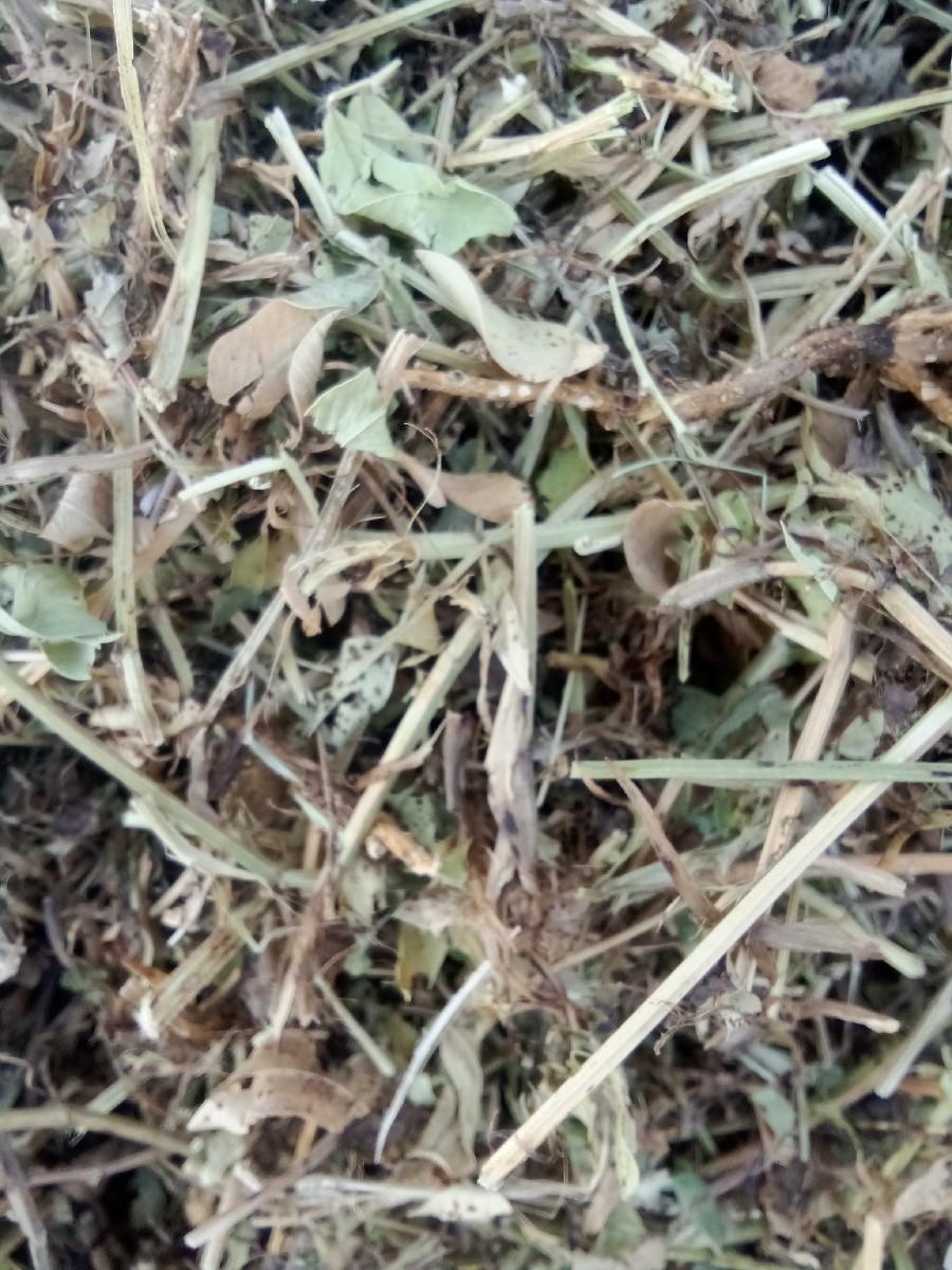 ભુકો વેચવાનોછે