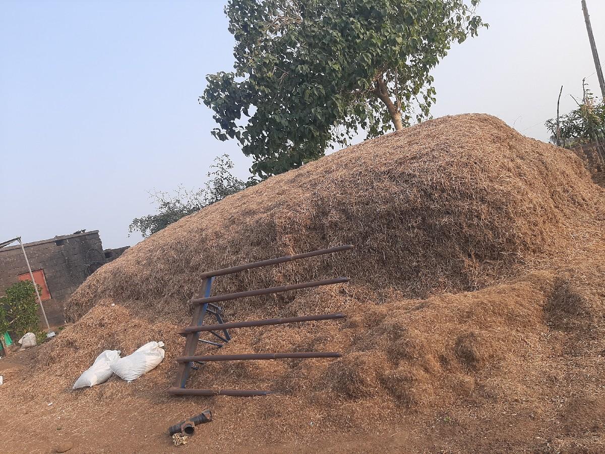 જી 20મગફળી ચારો વેવાનોવાનોછે