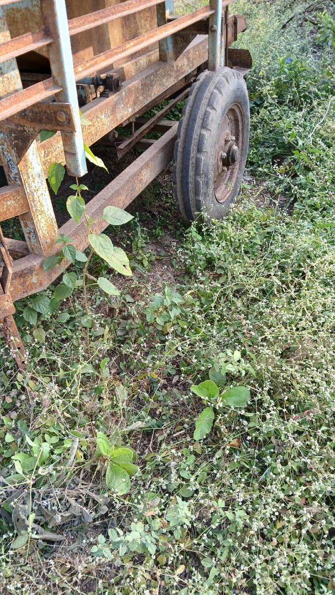 થંબનેલ 3