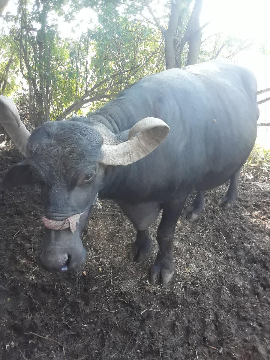 થંબનેલ 3