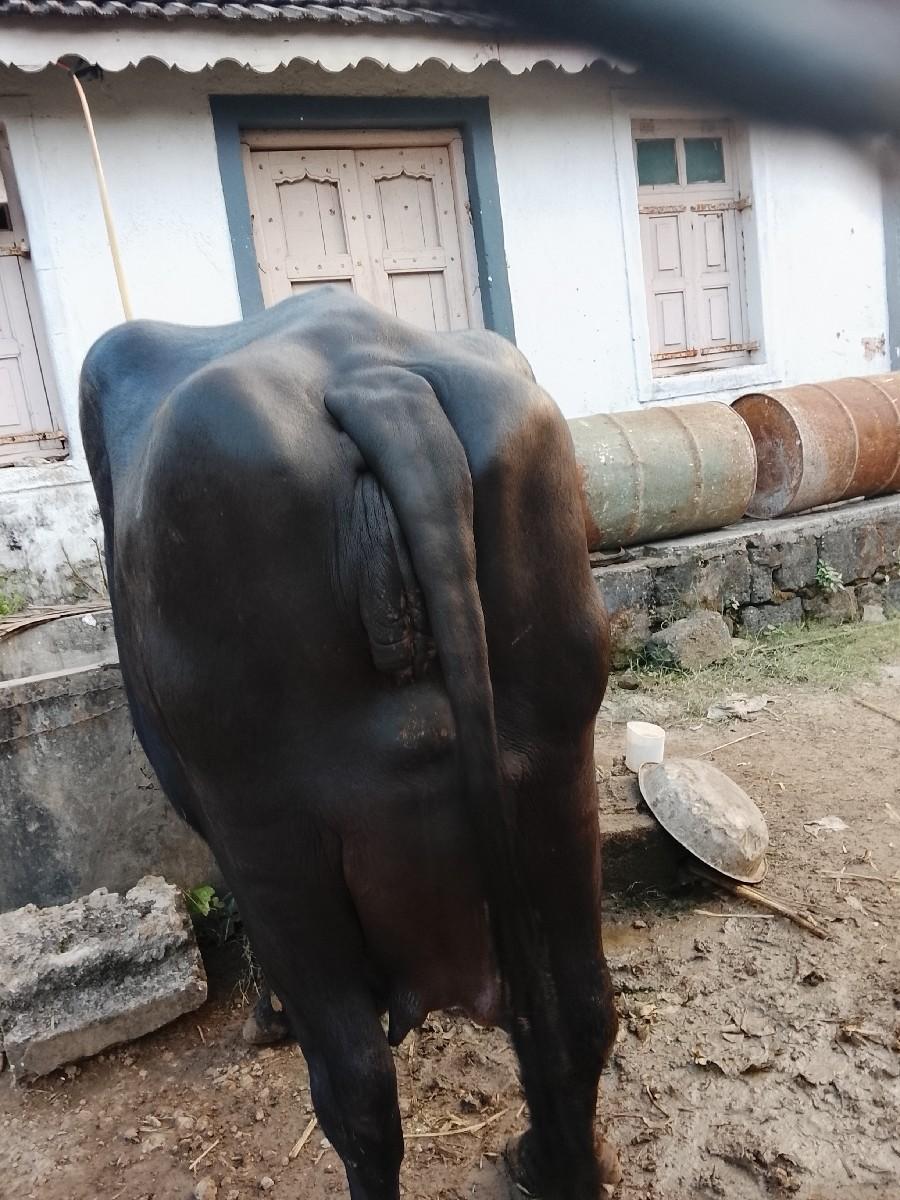 थंबनेल 3