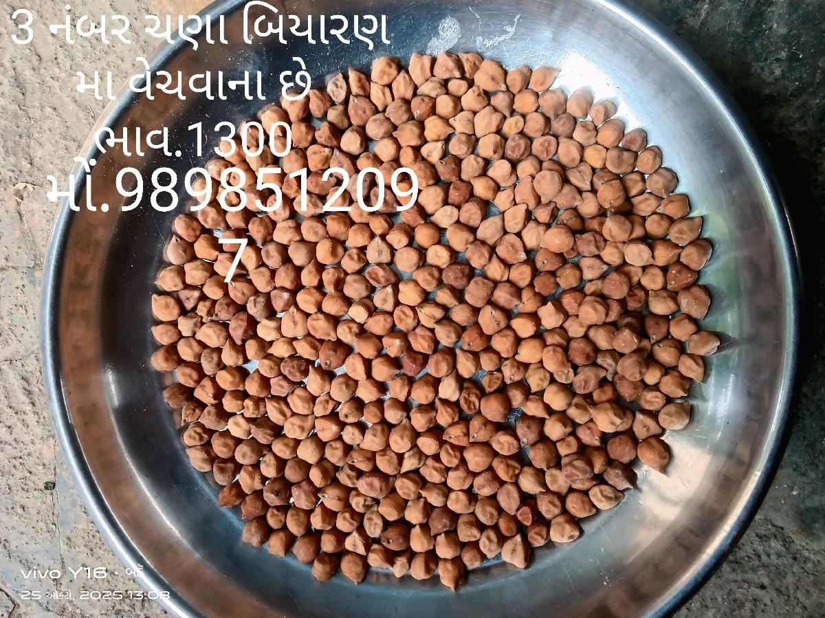 3 નંબર ચણા