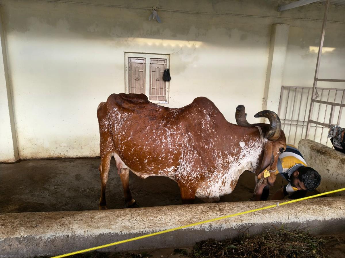 થંબનેલ 3