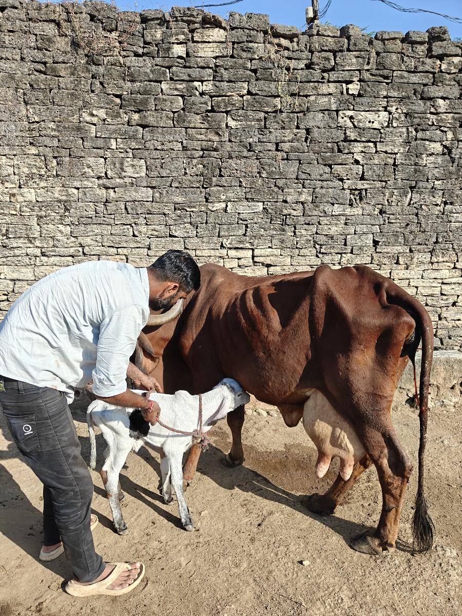 થંબનેલ 3