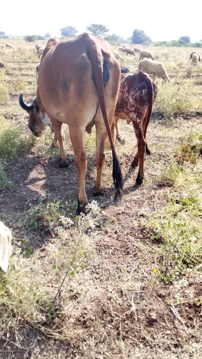 થંબનેલ 3