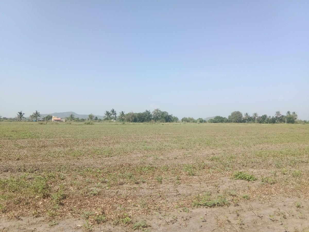 khetini jamin vechvani che