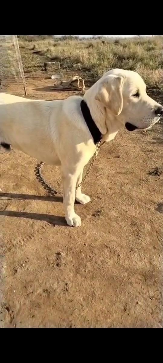 થંબનેલ 3