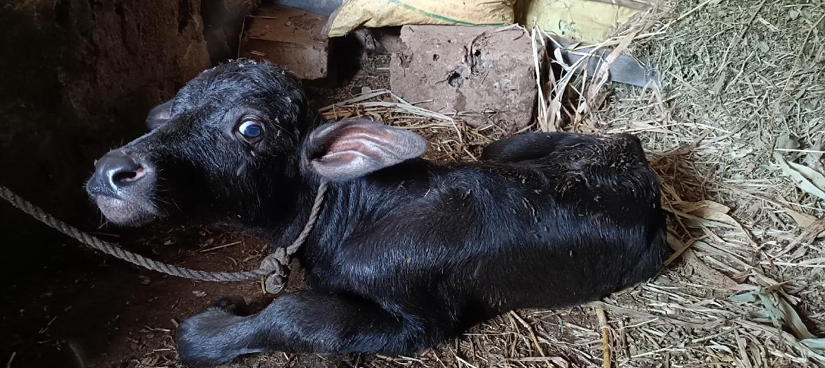 થંબનેલ 3