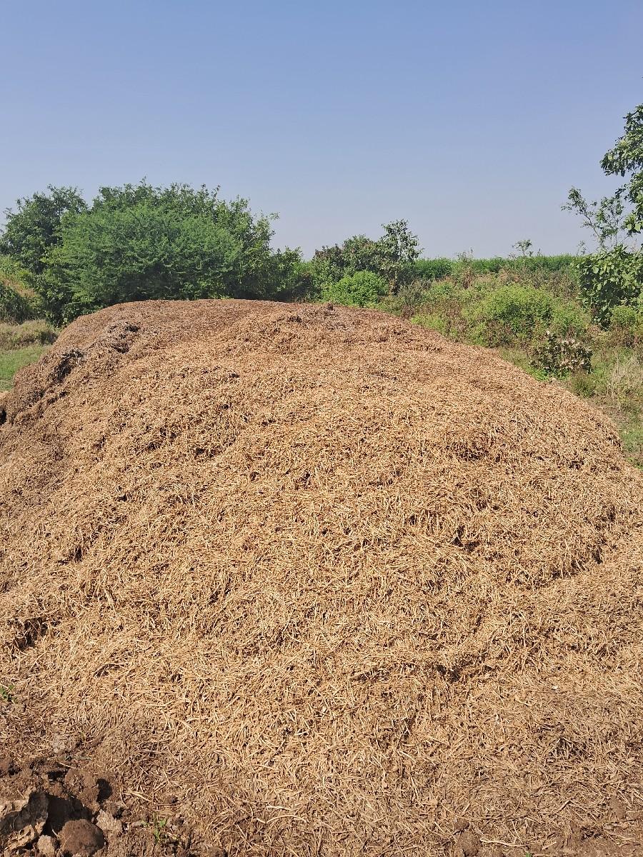 G20 નુ માંડવીયુ વેચવાનુ છે