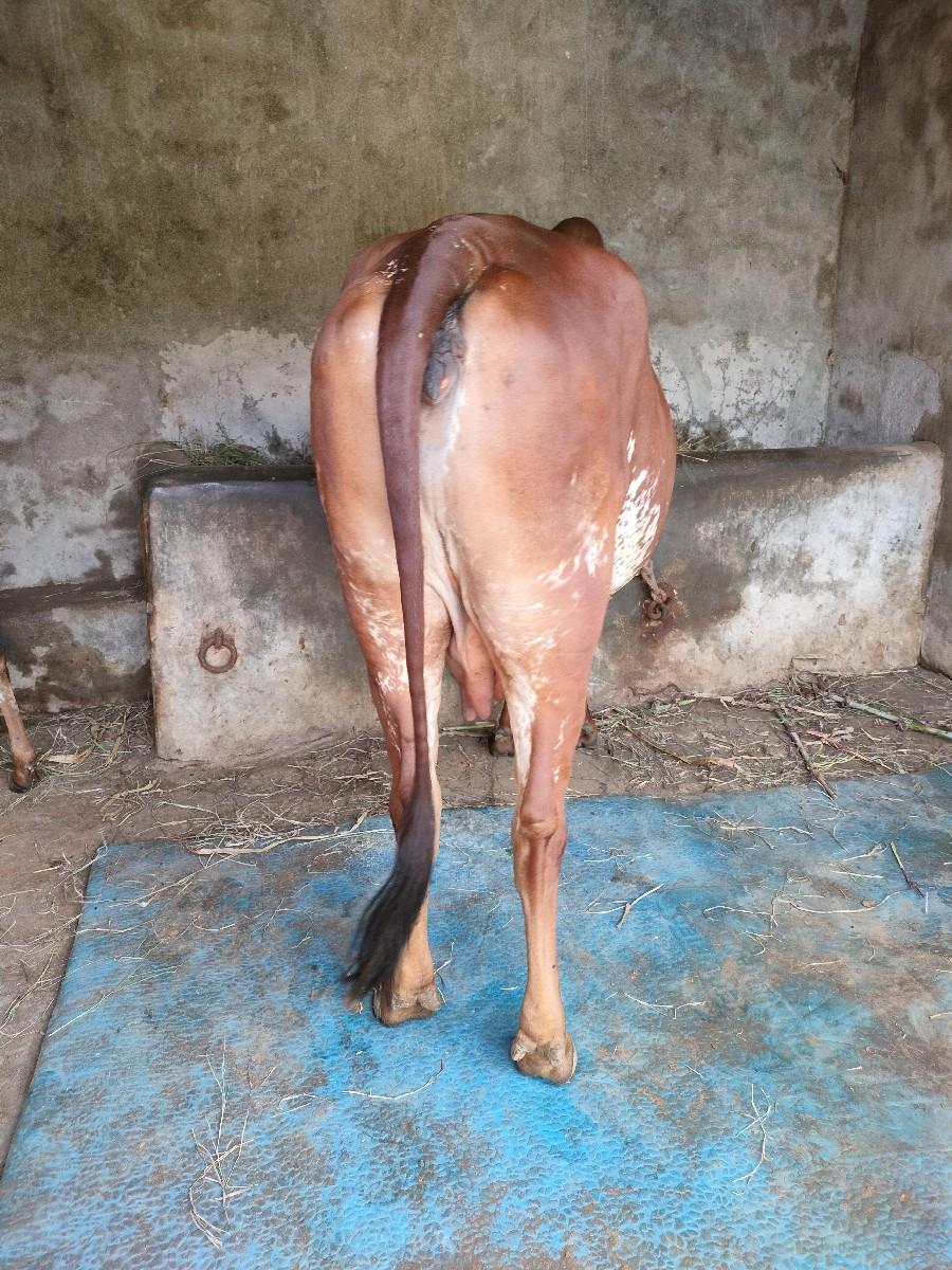 થંબનેલ 2