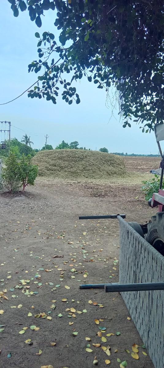 મગફઙી નો ભૂકો વેશવાનોછે