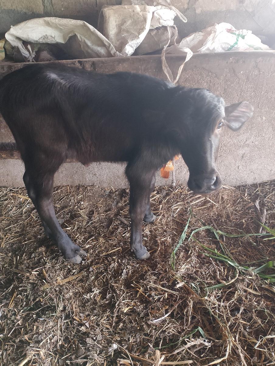 થંબનેલ 3