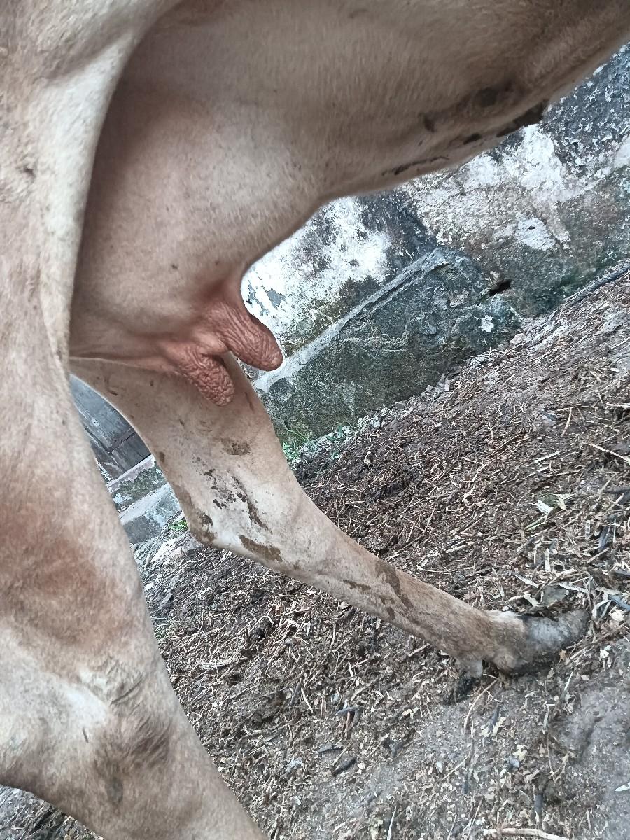 થંબનેલ 3