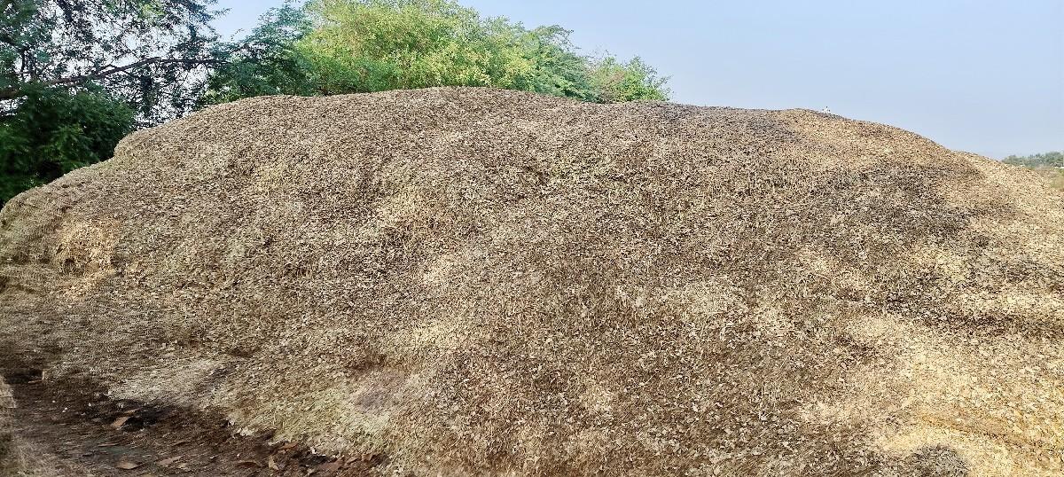 મંગોટું વેચવાનું છે