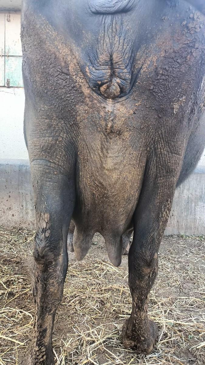 થંબનેલ 2