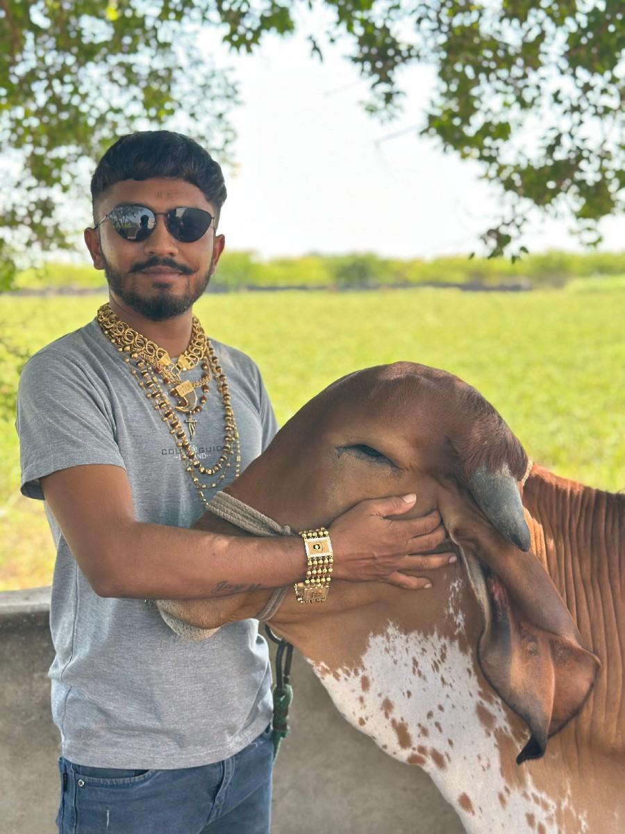 થંબનેલ 3