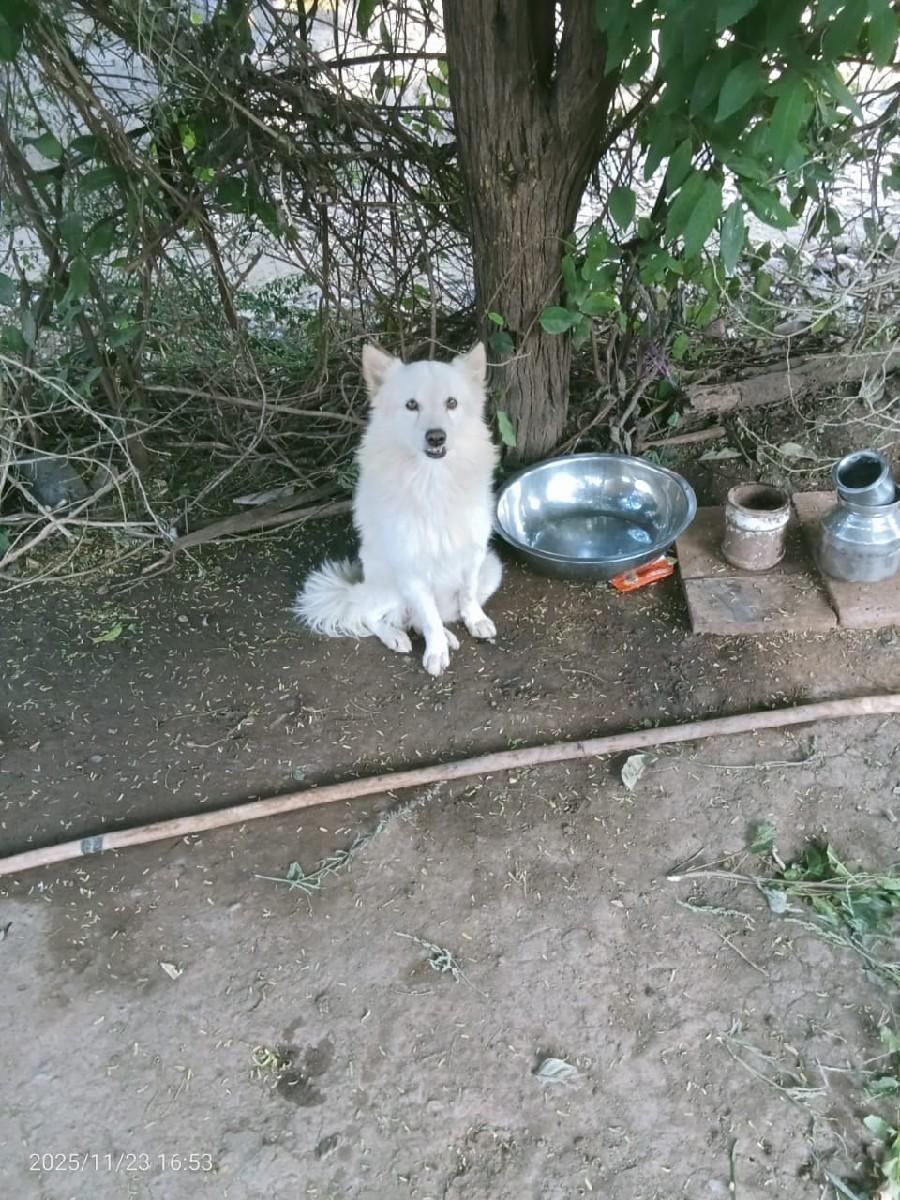 થંબનેલ 3