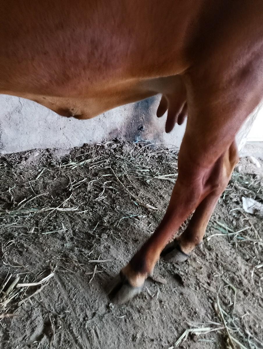 થંબનેલ 2