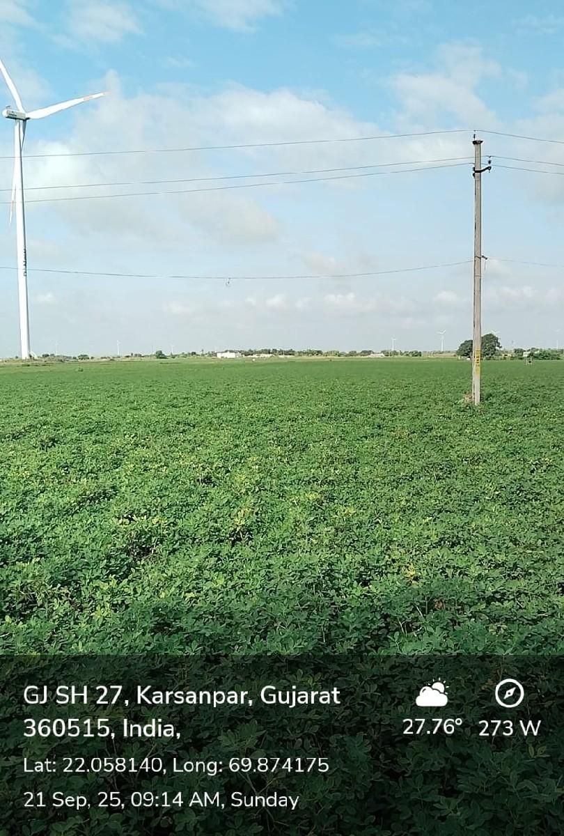 ખેતી લાયક જમીન વેચવાની છે