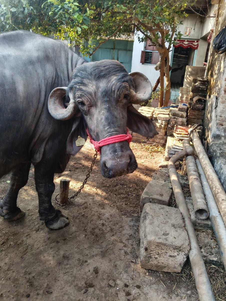 થંબનેલ 2