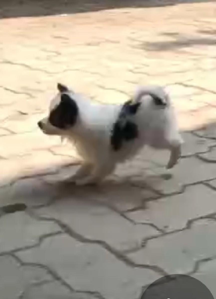 થંબનેલ 2