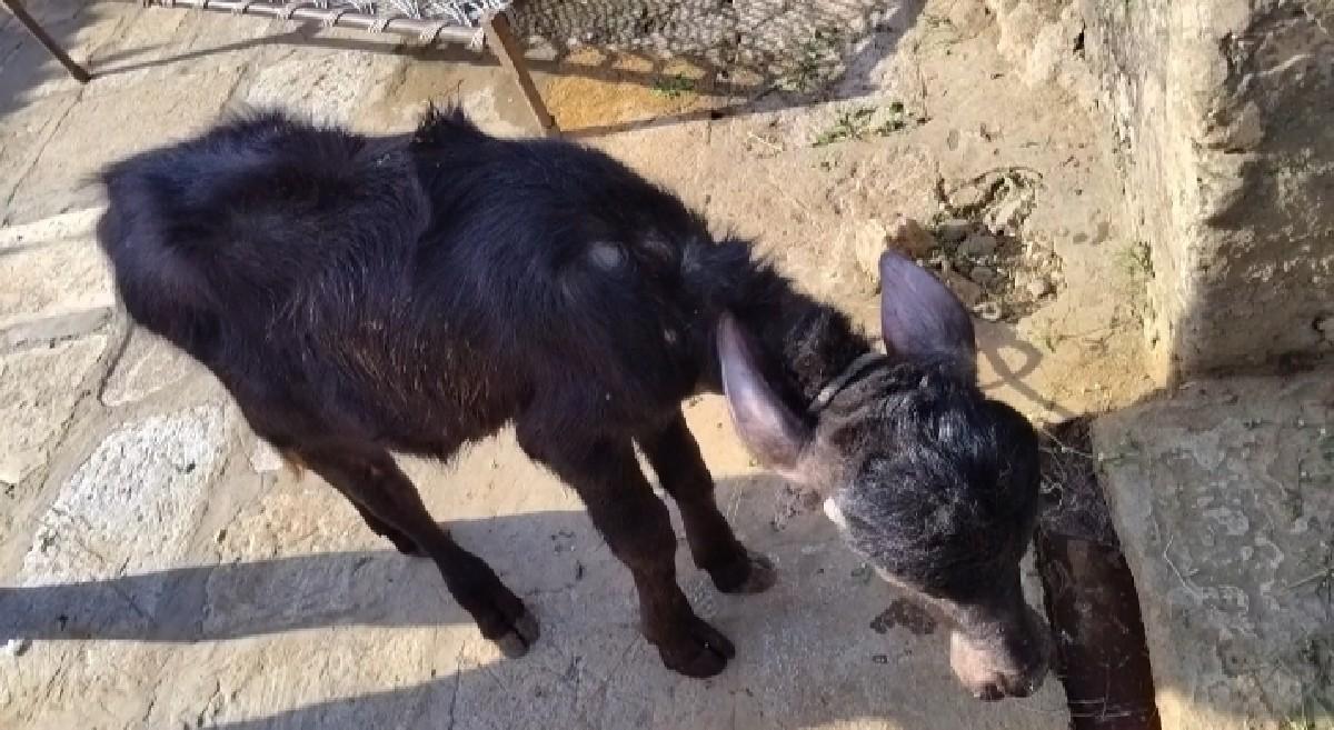 થંબનેલ 3