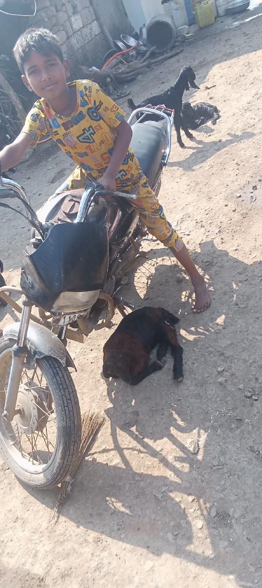 થંબનેલ 2