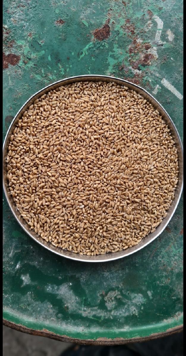 ઘવ 
મો :- ૯૮૨૪૮૯૬૦૭૦