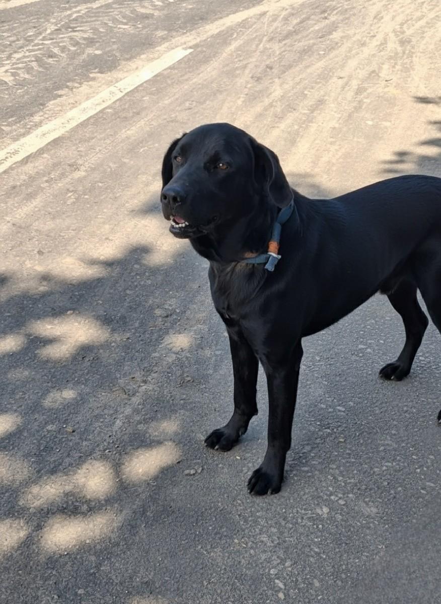 થંબનેલ 2