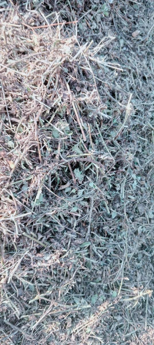 મગફળી નો પાલો વેચવાનો છે