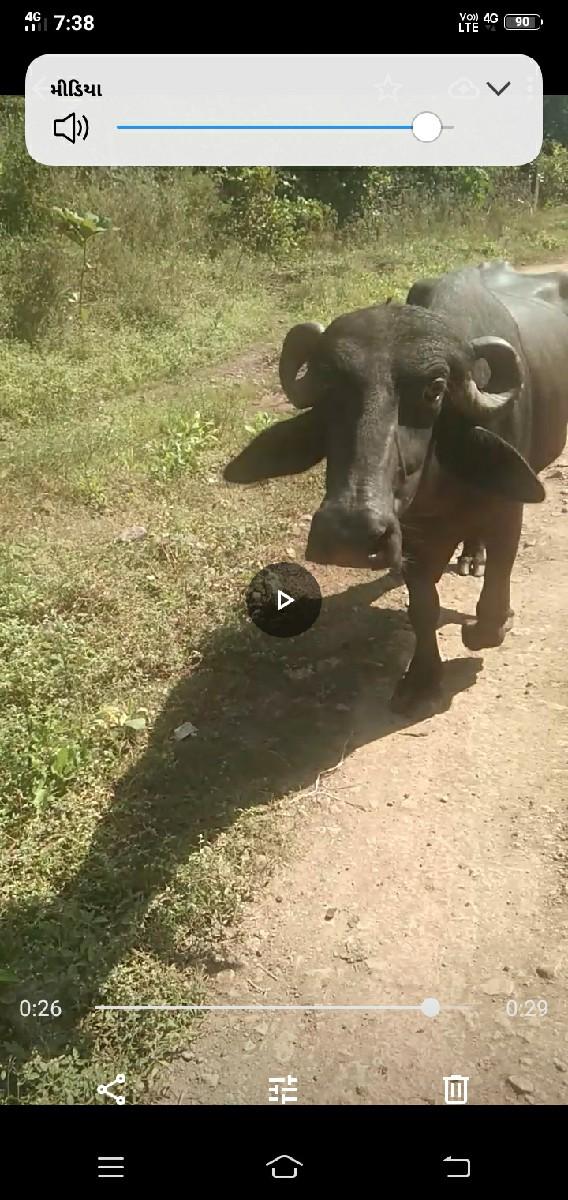 વેચવાની છે