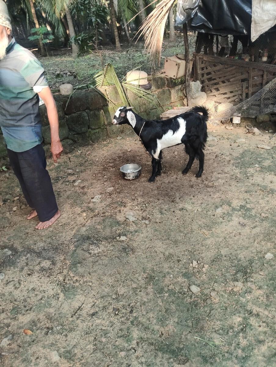 થંબનેલ 3