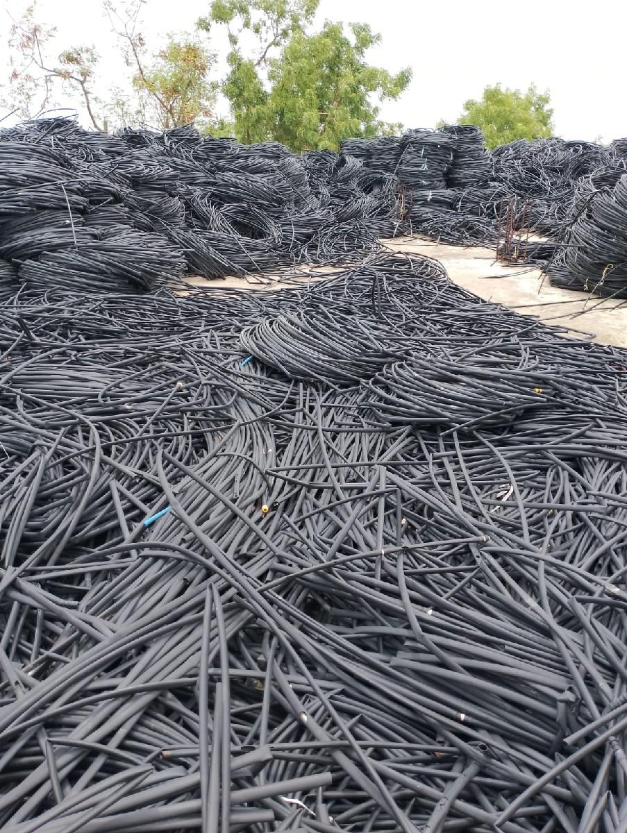 थंबनेल 4