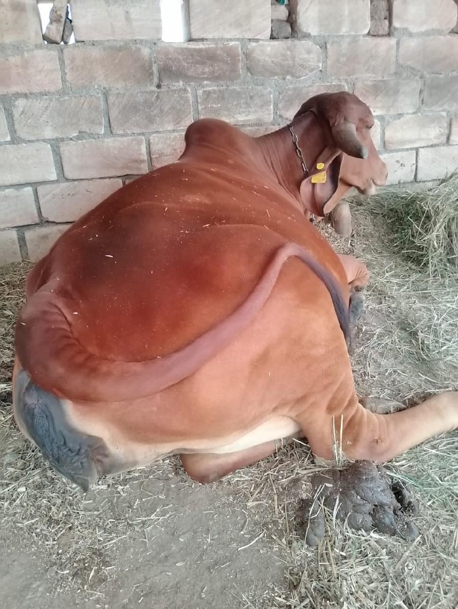 થંબનેલ 3