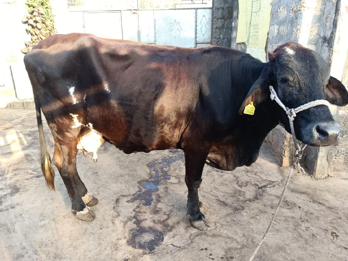 થંબનેલ 2