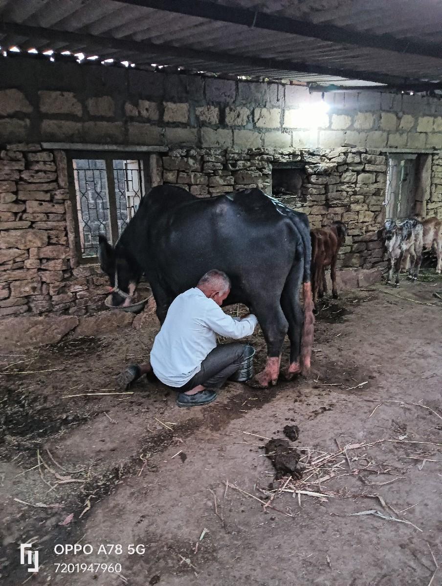 થંબનેલ 5