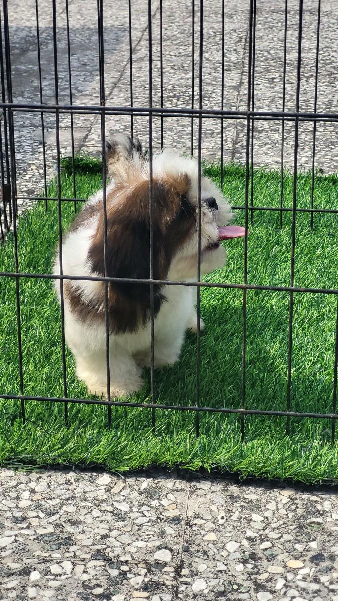 થંબનેલ 3