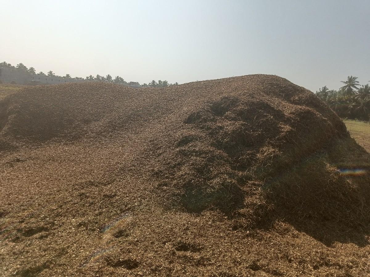 જી 20 ચારો લીલો સાવ કોરો